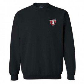 Jr. Gildan Crew Sweatshirt