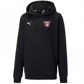 Jr. Puma teamGOAL 23 Hoodie