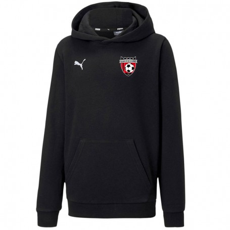 Jr. Puma teamGOAL 23 Hoodie